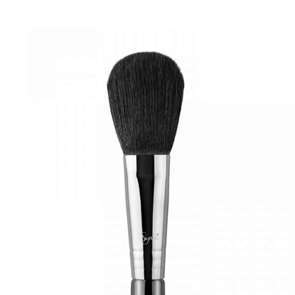 F10 POWDER/ BLUSH BRUSH Sigma
