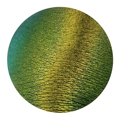 TAMMY TANUKA PIGMENTO - "CHROMATIC invasion"