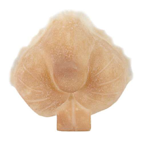 Protesis Latex Hocico de Conejo 310 - Grimas